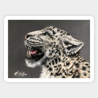 Snow Leopards Roar Sticker